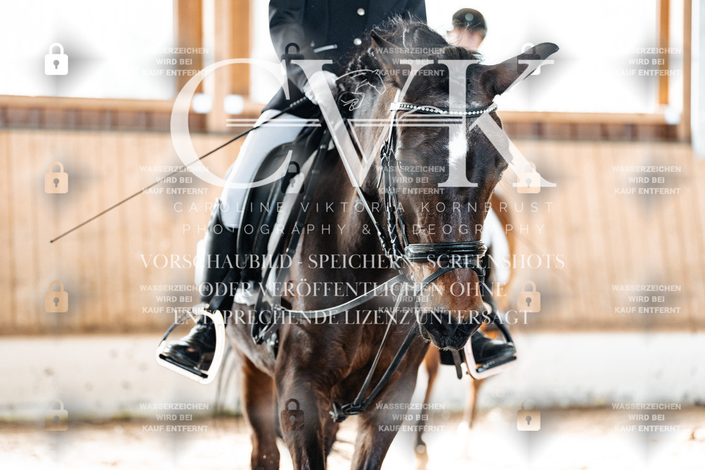 CK909488 | Turnierfotografie Pferdefotografie Trier Rheinland-Pfalz Pferdesport Reitsport Tierfotografie Sportfotografie Pferdevideo Pferdevideografie Equestrianvideography equestrianphotography  - Realized with Pictrs.com