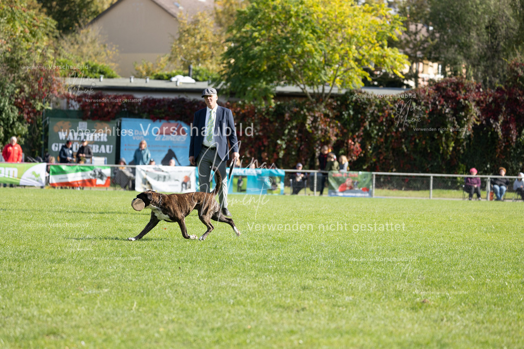 _16A6987 | Einzigartige Fotos von Hunden & Menschen –Actionfotos, Portraits, Vereinsaufnahmen & Paarshootings – authentisch, lebendig & mit Herz.