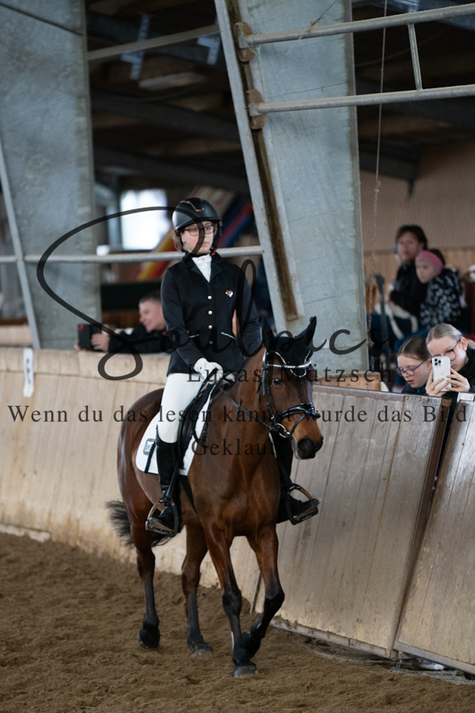 A7V04932 | Pferdefotograf