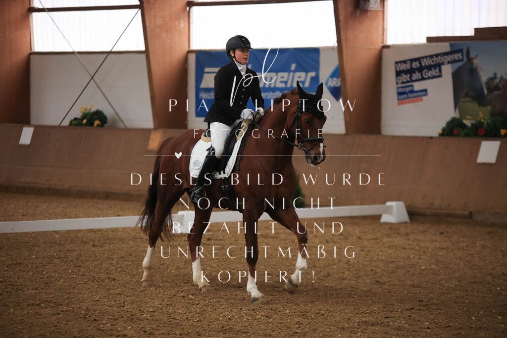 IMGT8972 | pl-fotografie