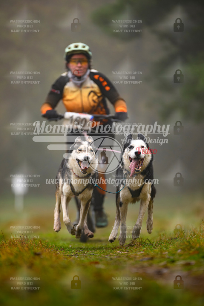 MompixPhotography_Bischwiller2025_Scooter-5 | mompixphotography