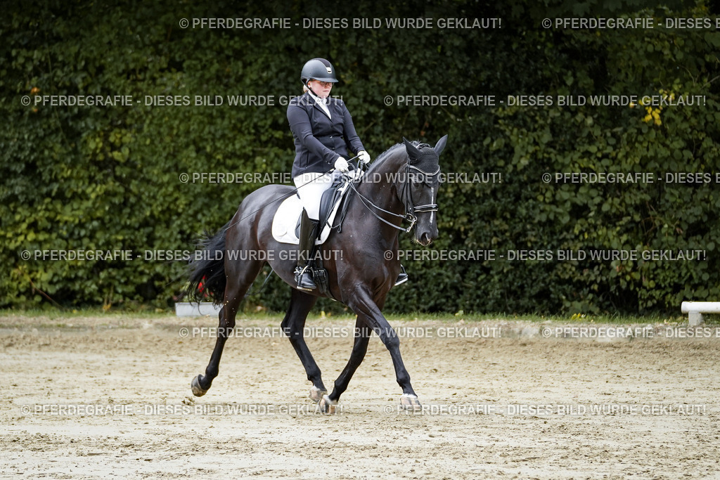 DSC09393 | Pferdegrafie