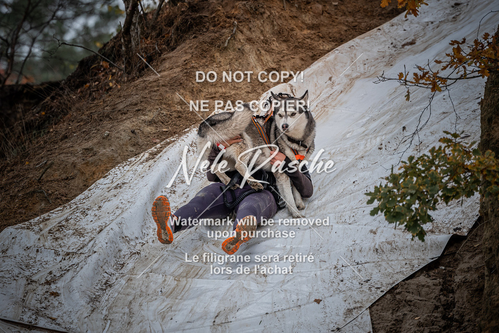 nelerasche_Creepy2025_So1000-1100_122 | nelerasche