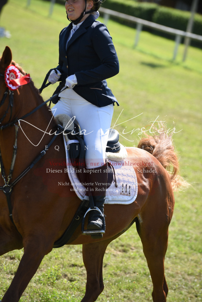 DSC_9655 | Pferde- und Turnierfotografie in Westsachsen. Pferdeportraits, Auftragszeichnungen und intuitive Kunst.