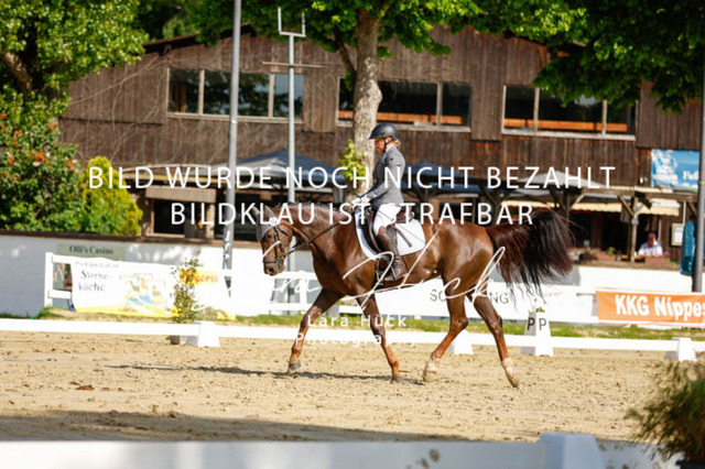 _62_2388 | larahueckfotografie