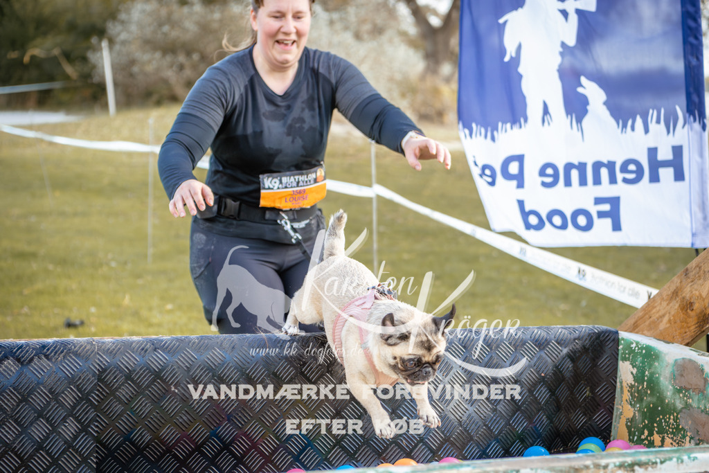 1508_ZZ95946 | kk-dogfotos