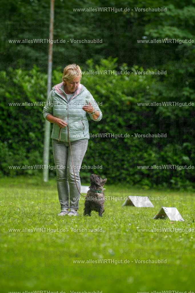 @allesWIRTHgut_Tierfotografie - www.allesWIRTHgut.de - 130021-7R509656 | Professionelle Tierfotografie in Mönchengladbach von Daniel Wirth (allesWIRTHgut). Liebevolle & natürliche Bilder von Hunden & Katzen für unvergessliche Erinnerungen.