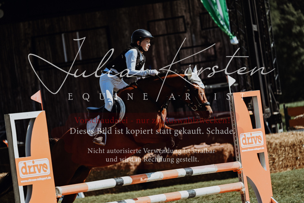 DSC_6619 | Pferde- und Turnierfotografie in Westsachsen. Pferdeportraits, Auftragszeichnungen und intuitive Kunst.