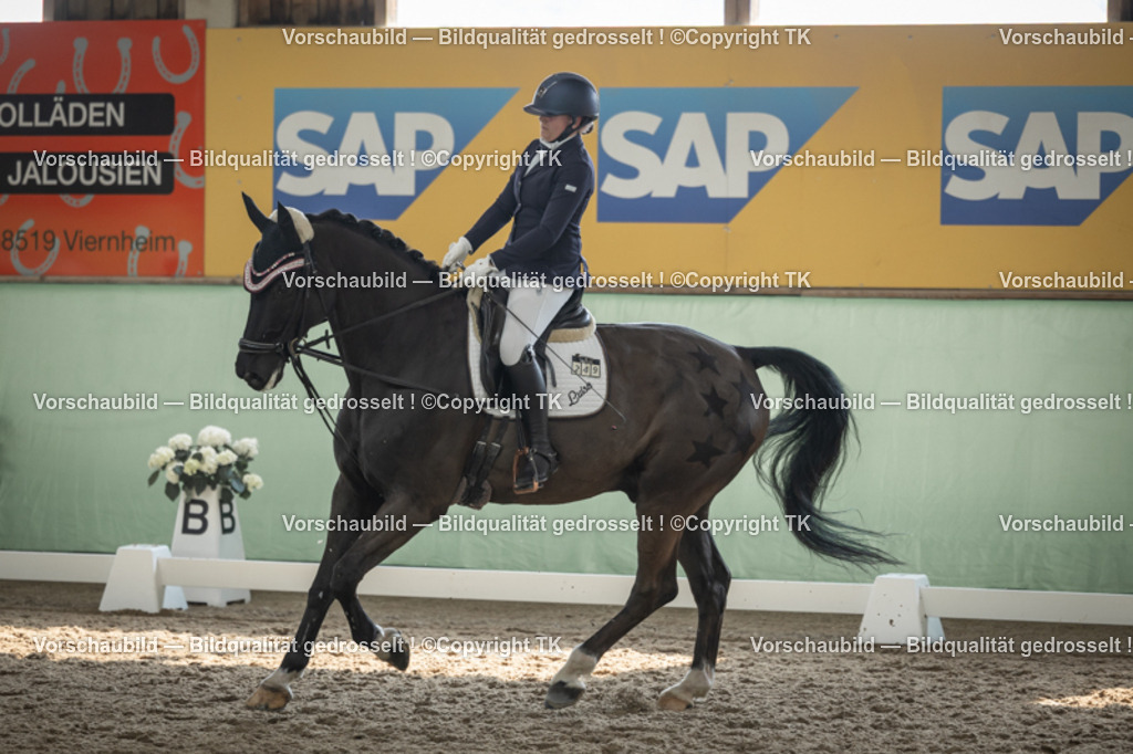 _D5A5818 | Emotionale Pferde- & People-Fotografie rund um Heidelberg, Leimen & Umgebung. Natürliche Fotos von Pferd, Mensch & Familie. Jetzt Termin sichern!