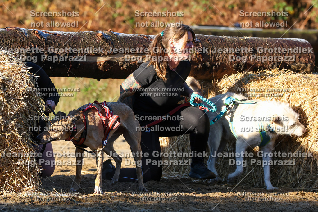 Dog Paparazzi - Strongdog 10-25-828 | Dog Paparazzi Jeanette Grottendiek Fotografie & Videografie - Realisiert mit Pictrs.com