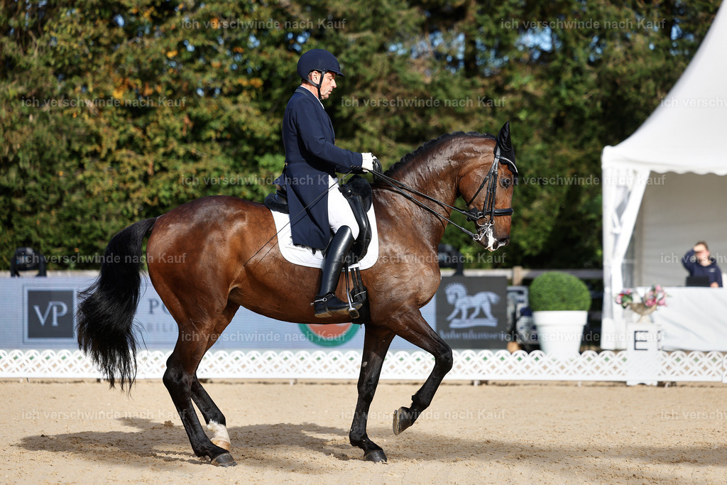 13-226-S___ -StoibPH-6928 | working equitationturnier fotograf videograf stoibphotography marixx film working equitation deutschland reitsport turnierfotografie eventfotografie equestrian events