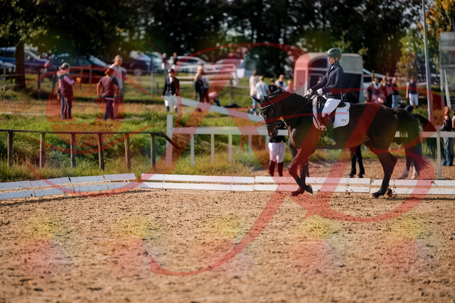 2026_10_03_Siefer-Hof_133442_Z63_93183542 | Professionelle Reitsport-, Turnier- und Eventfotografie von Robert Broda. Galerien mit ausgewählten und bearbeiteten Bildern direkt online ansehen und bestellen.