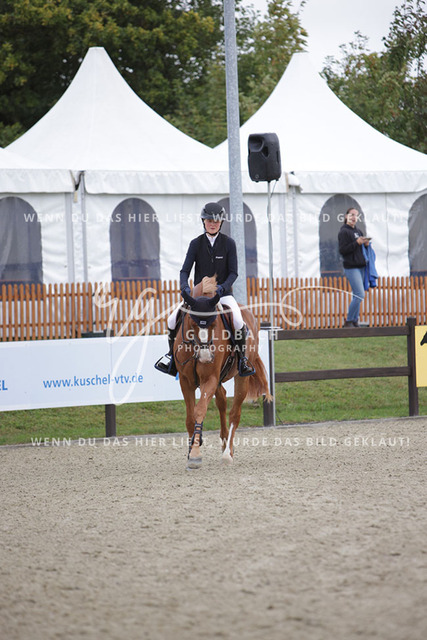 1J2A9854Pheline Ahlmann_ Constanzehof_s Faust Mephisto_ Kn275_ Havekost | Foto- und Videografie für alles rund ums Pferd. Hochwertige Bilder und Videos vom Spring- und Dressurreiten, Voltigieren & mehr. Jetzt aktuelle Veranstaltungen und Preise im Shop ansehen. - Realisiert mit Pictrs.com