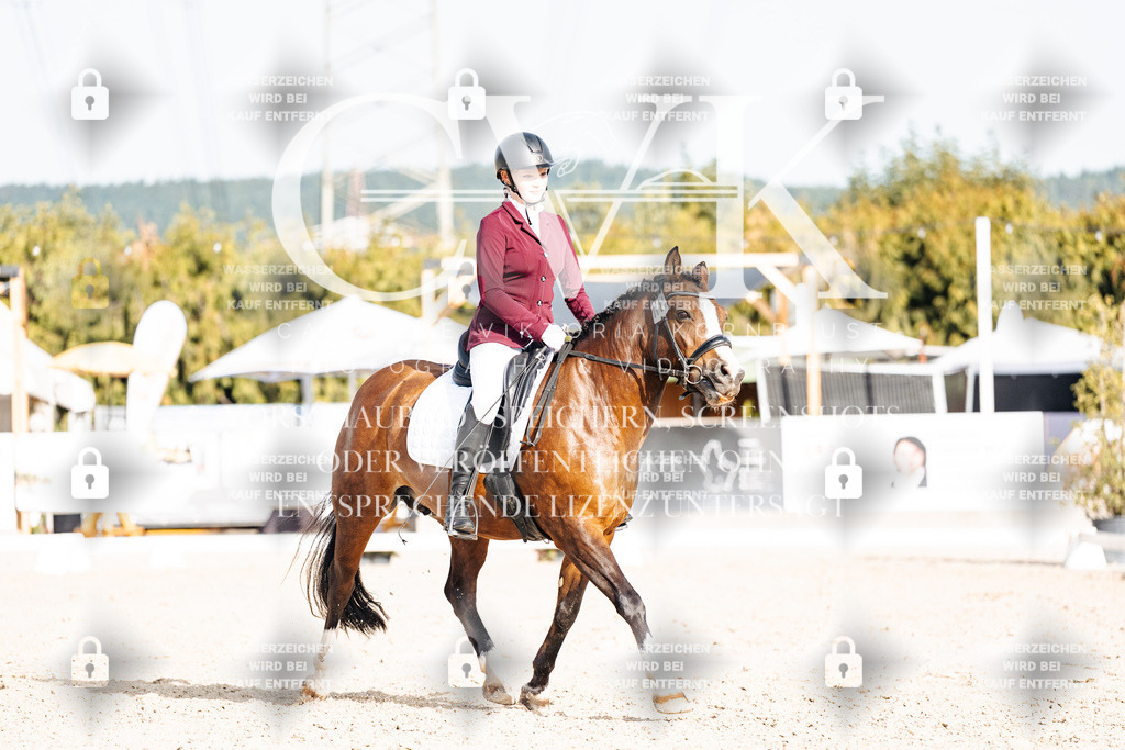 CK904880 | Turnierfotografie Pferdefotografie Trier Rheinland-Pfalz Pferdesport Reitsport Tierfotografie Sportfotografie Pferdevideo Pferdevideografie Equestrianvideography equestrianphotography  - Realisiert mit Pictrs.com