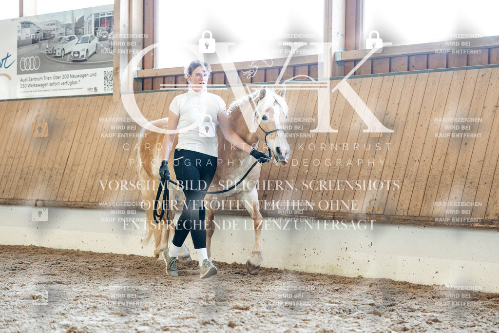 CK907333 | Turnierfotografie Pferdefotografie Trier Rheinland-Pfalz Pferdesport Reitsport Tierfotografie Sportfotografie Pferdevideo Pferdevideografie Equestrianvideography equestrianphotography  - Realisiert mit Pictrs.com