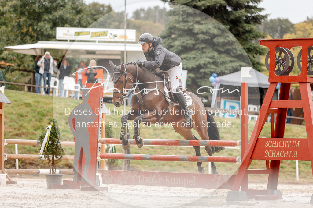3I6A5920 | Stimmungsvolle Portraits und Reitsportfotografie im Ruhrgebiet und im Münsterland.

Pferdefotografie, Hundefotografie, Tierfotografie, Reportagen, Portraits von Tier und Mensch, Turnierfotografie in Bochum, Recklinghausen, Marl, Haltern am See, Dülmen.. - Realisiert mit Pictrs.com