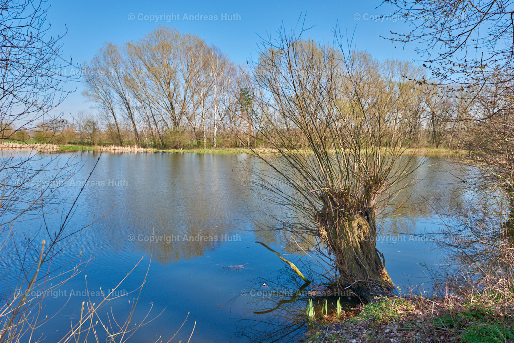 An einem Altarm der Weißen Elster bei Lützkewitz 03 | Bedeutsame Landschaften Deutschlands - Realisiert mit Pictrs.com