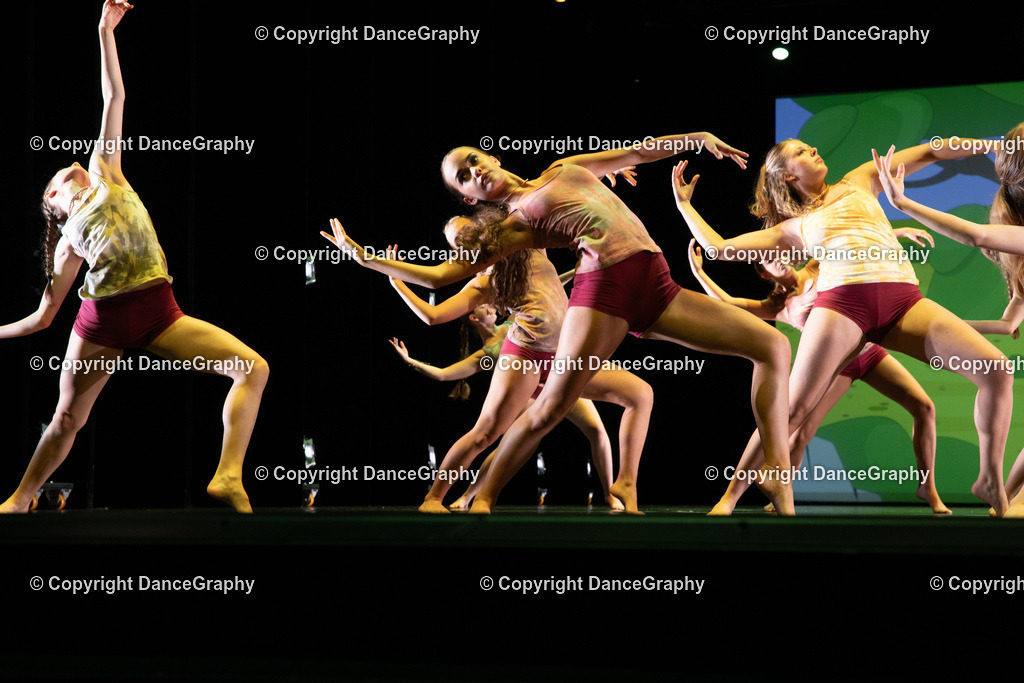 GPHY6342 | DanceGraphy - Realisiert mit Pictrs.com