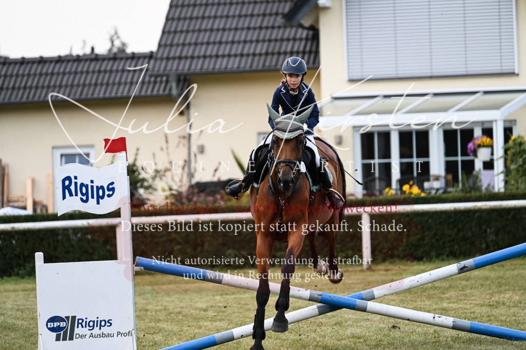 DSC_5694 | Pferde- und Turnierfotografie in Westsachsen. Pferdeportraits, Auftragszeichnungen und intuitive Kunst.