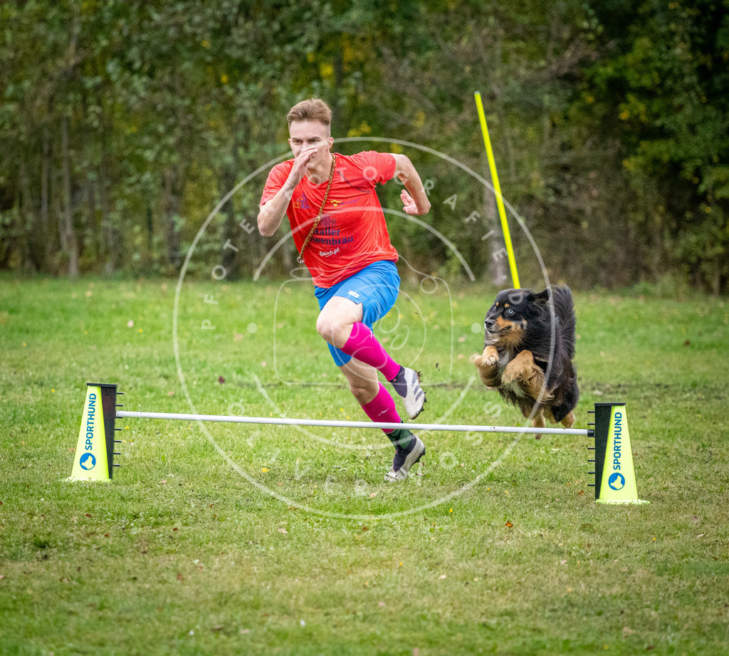 Pfotenfotografie_DV3A1424 | Hundefotografie, Tierfotograf, Pfotenfotografie, Fotoshooting Hund, Hunde Portrait, Hundesport, Hundeportraits, Heideshooting, Hunde, Sportfotograf, Hundefotograf, Turnierhundsport, THS,  - Realisiert mit Pictrs.com