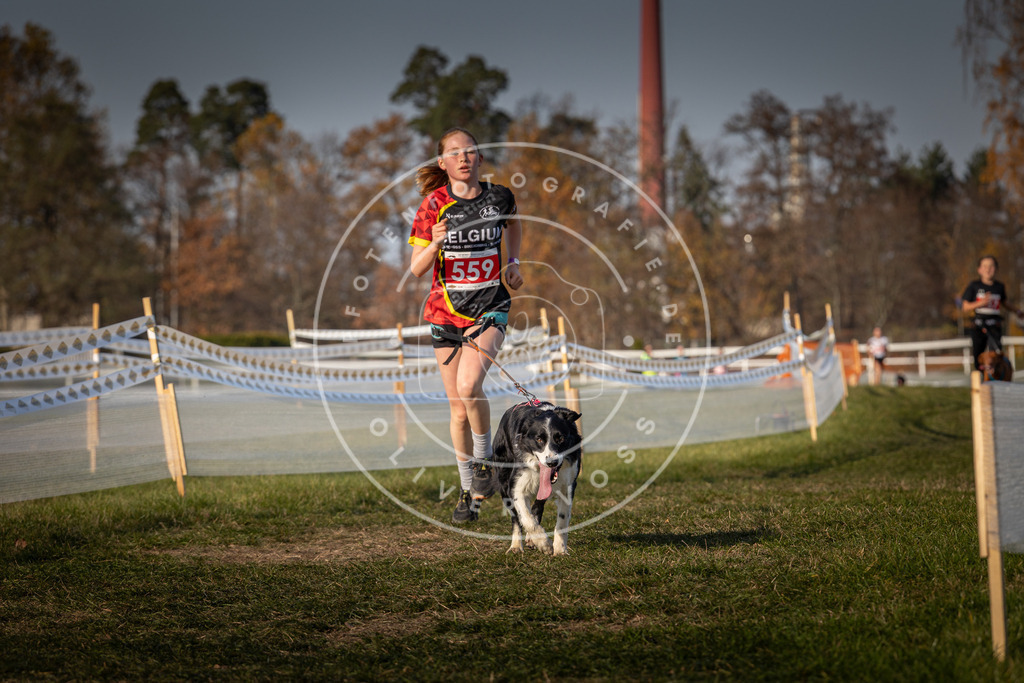 CaniXpix_0L8A9291 | Hundefotografie, Tierfotograf, Pfotenfotografie, Fotoshooting Hund, Hunde Portrait, Hundesport, Hundeportraits, Heideshooting, Hunde, Sportfotograf, Hundefotograf, Turnierhundsport, THS,  - Realisiert mit Pictrs.com
