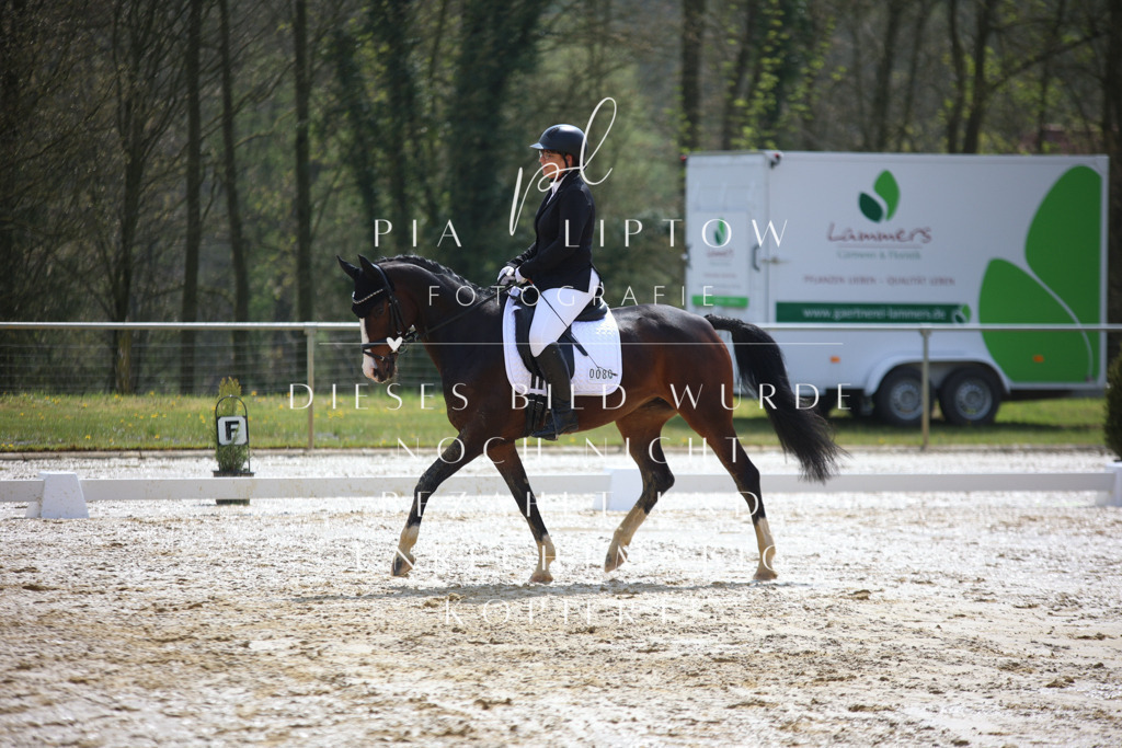 IMGT2409 | pl-fotografie