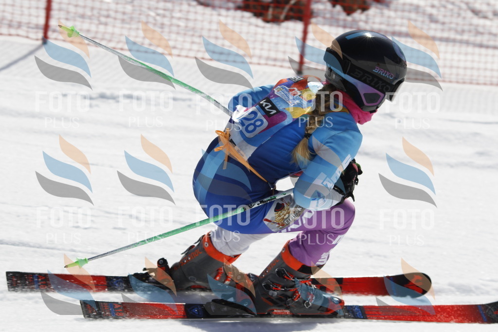 _U3G0846 | holidayphoto