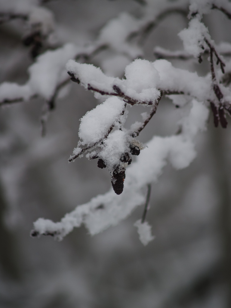 PSX_20230206_223827 | OLYMPUS DIGITAL CAMERA - Realisiert mit Pictrs.com