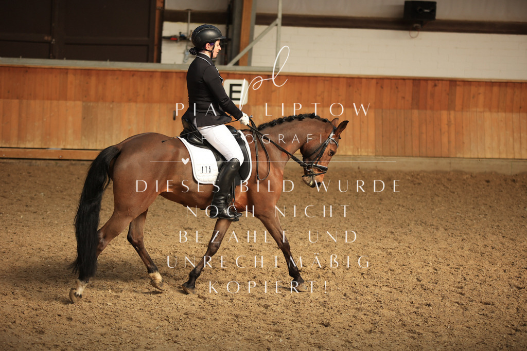 IMGT4735 | pl-fotografie