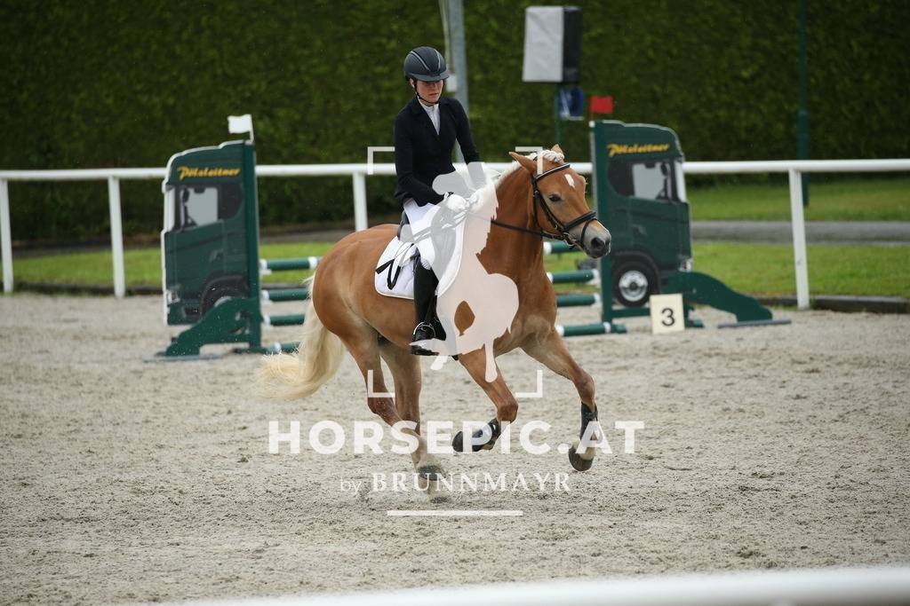 DL2Q0292 | Willkommen bei Brunnmayr - Design & Fotografie – Ihrem Spezialisten für Reitturniere und Pferdeveranstaltungen in Oberösterreich, Salzburg und Bayern! Seit über 17 Jahren sind wir leidenschaftlich dabei.