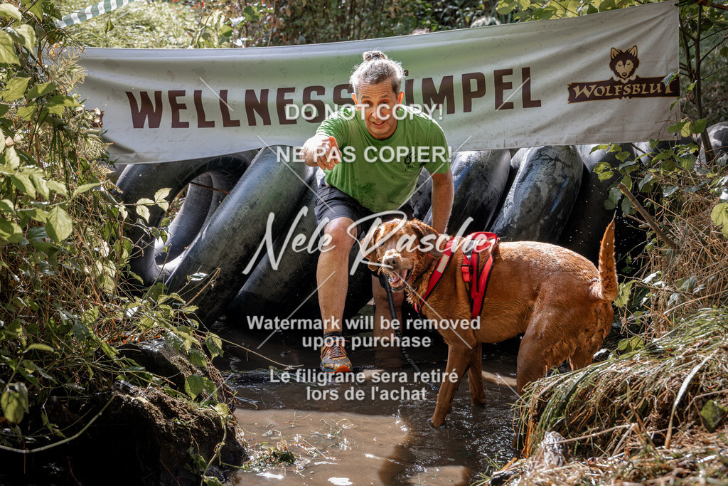 nelerasche_Hunsrück2026_Sa1400-1500_28 | nelerasche