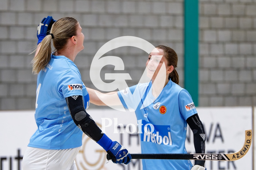 DZ9_6371 | Velletri Photo