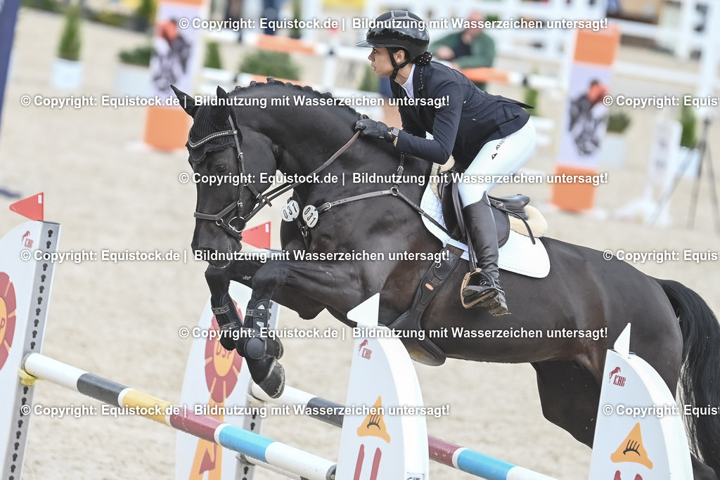 20230514_CCI2_Section1_Springen_0151 | equistock