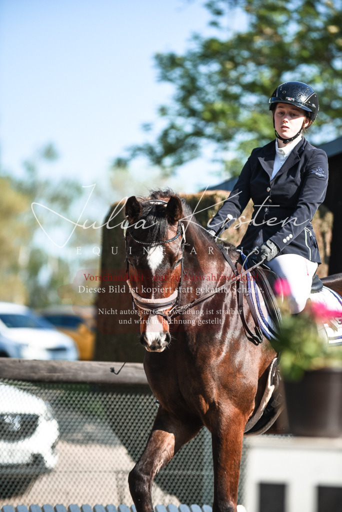 DSC_8273 | Pferde- und Turnierfotografie in Westsachsen. Pferdeportraits, Auftragszeichnungen und intuitive Kunst.