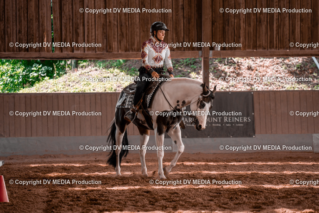 NE100580 | dv-media-shop - Realisiert mit Pictrs.com