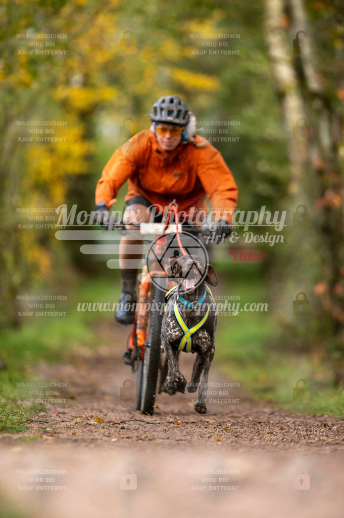 TSB_2023_E4_Bike-22 | PayLife