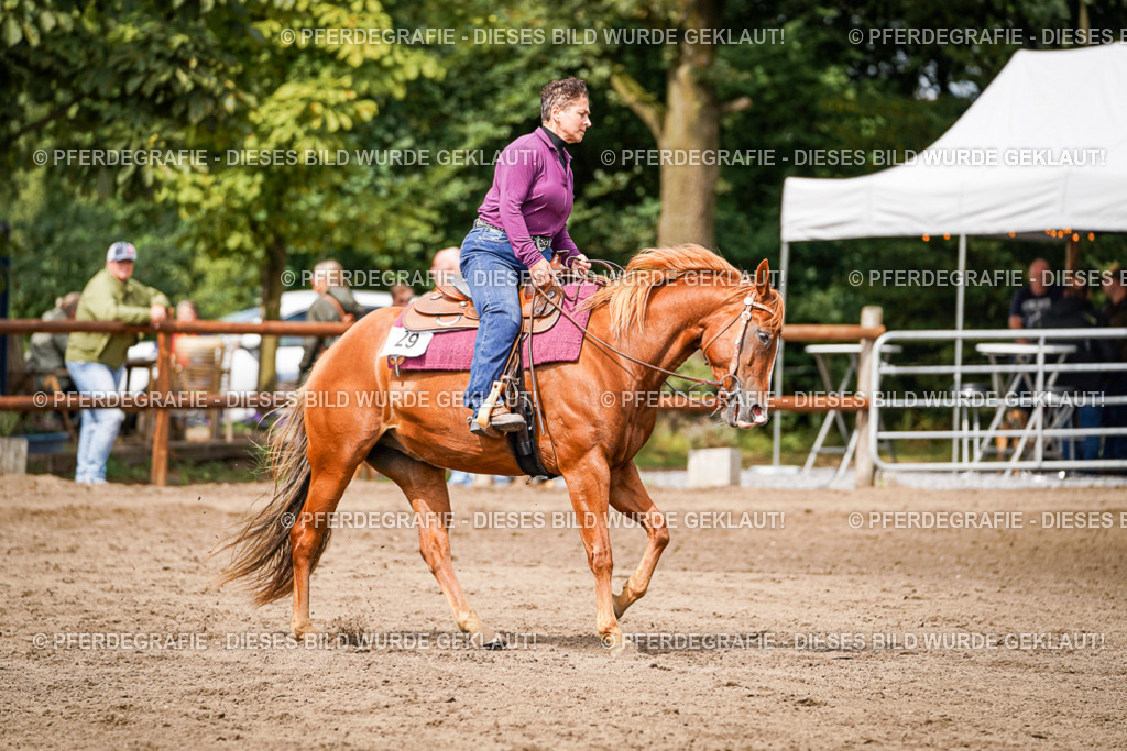 DSC07120 | Pferdegrafie