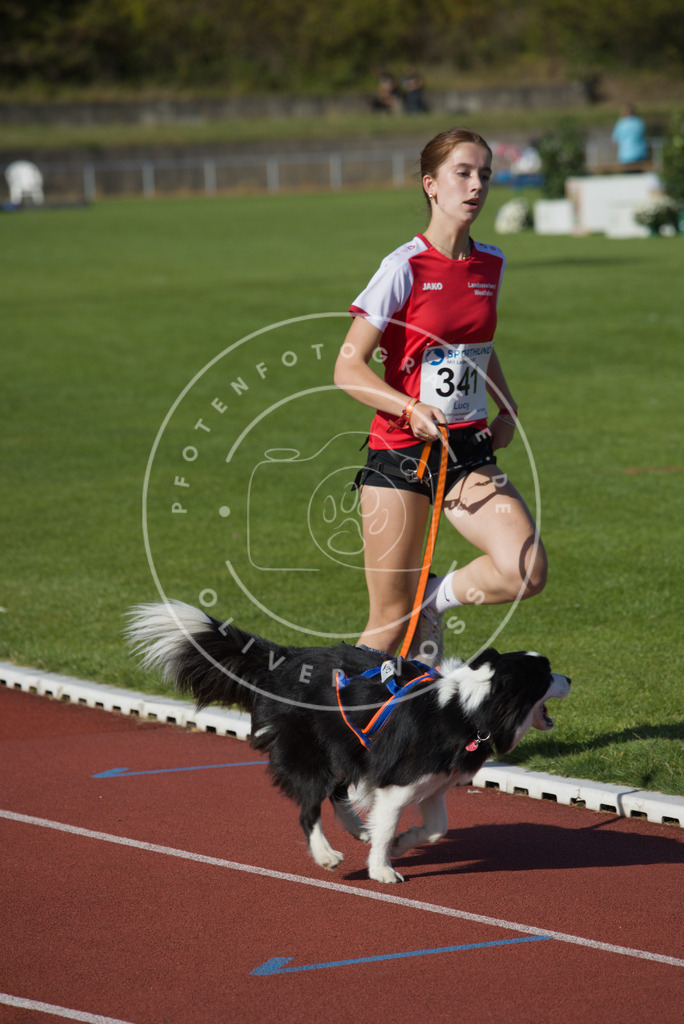 0L8A9018 | Hundefotografie, Tierfotograf, Pfotenfotografie, Fotoshooting Hund, Hunde Portrait, Hundesport, Hundeportraits, Heideshooting, Hunde, Sportfotograf, Hundefotograf, Turnierhundsport, THS,  - Realisiert mit Pictrs.com