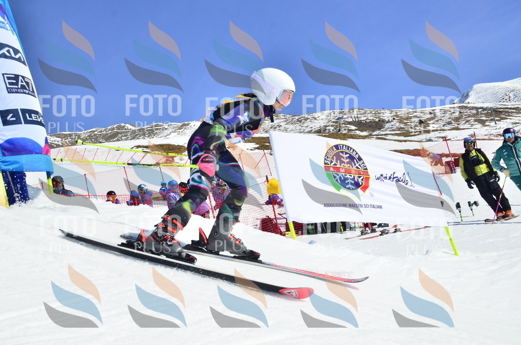 _ELE0324 | holidayphoto