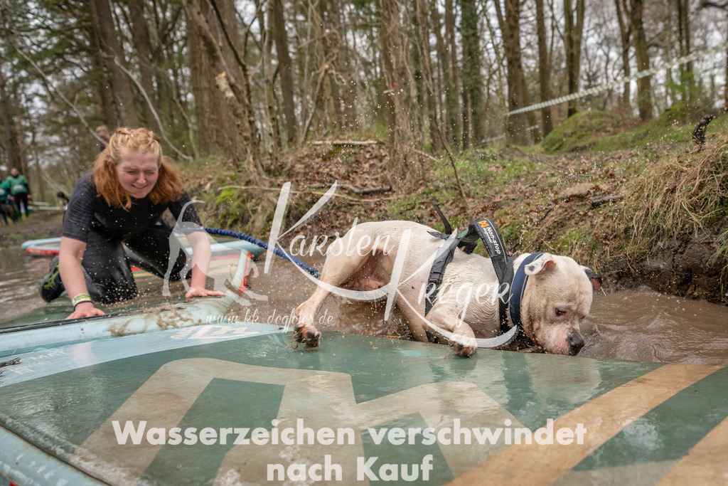 1138_ZZ93925 | kk-dogfotos