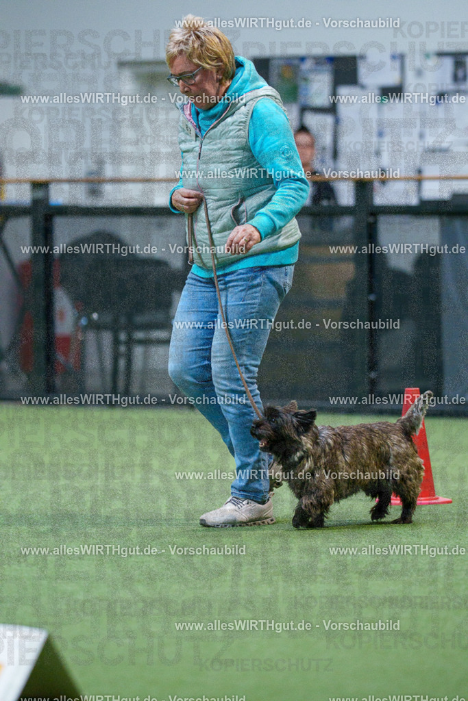 7R503248 | Professionelle Tierfotografie in Mönchengladbach von Daniel Wirth (allesWIRTHgut). Liebevolle & natürliche Bilder von Hunden & Katzen für unvergessliche Erinnerungen.