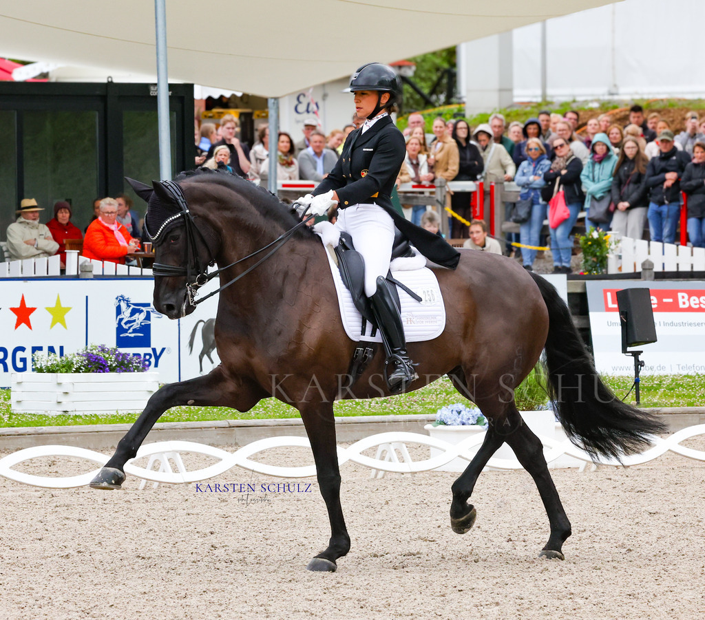 IMG_0113 | Reitsport Reiten