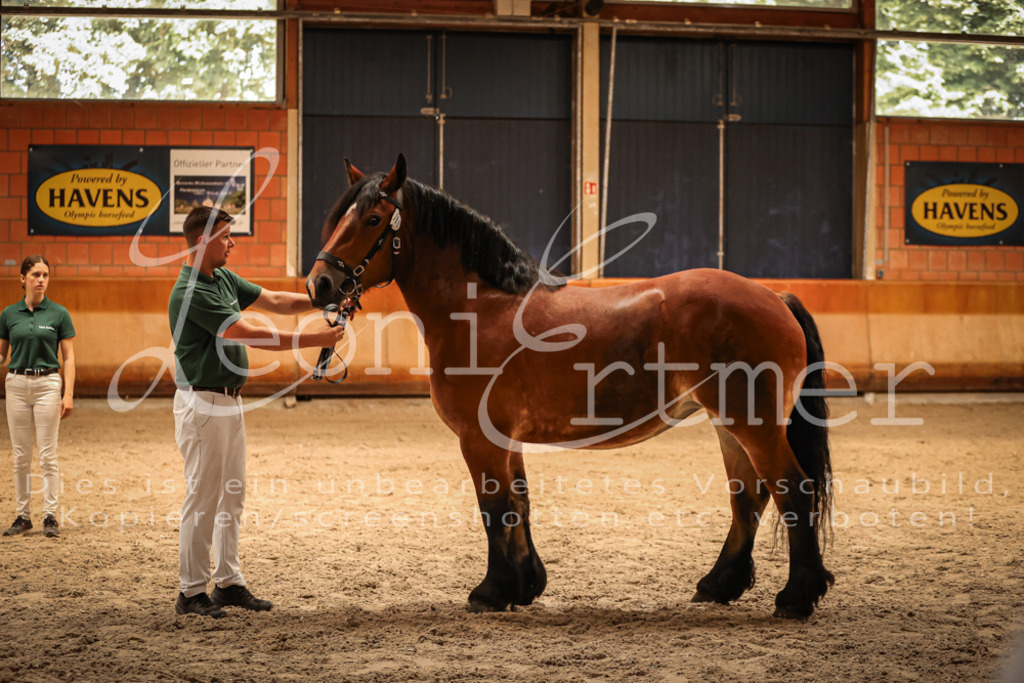 SaFL00135 | Leoni Ertmer Photography - Realisiert mit Pictrs.com