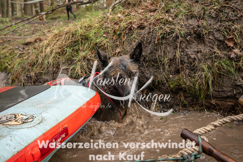 1031_ZZ93808 | kk-dogfotos