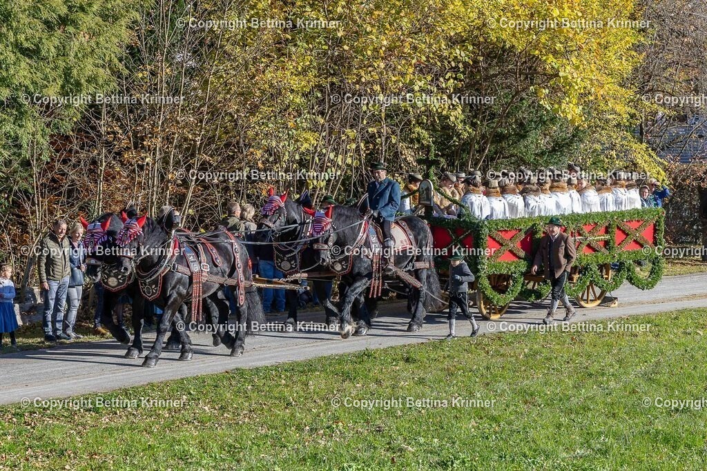 LBT25-392 | foto-bettina-krinner - Realisiert mit Pictrs.com