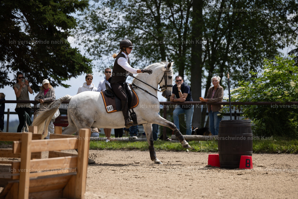 Masterclass_stoibphotography_C2_C8027.CR3 | working equitationturnier fotograf videograf stoibphotography marixx film working equitation deutschland reitsport turnierfotografie eventfotografie equestrian events