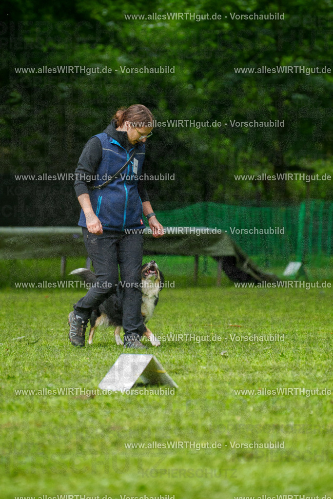 @allesWIRTHgut_Tierfotografie - www.allesWIRTHgut.de - 7R501935 | Professionelle Tierfotografie in Mönchengladbach von Daniel Wirth (allesWIRTHgut). Liebevolle & natürliche Bilder von Hunden & Katzen für unvergessliche Erinnerungen.