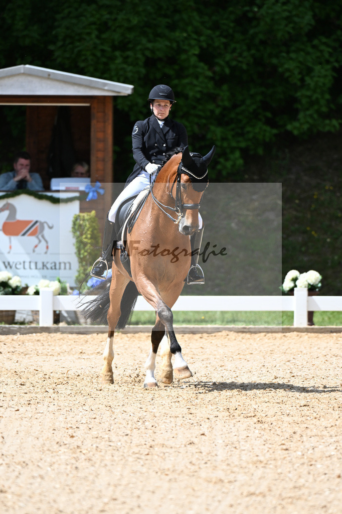 Anhalt_Rocco Granata_11252443 | hf-fotografie - Realisiert mit Pictrs.com