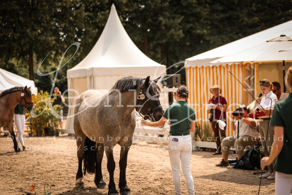 4.Sa00078 | Leoni Ertmer Photography - Realisiert mit Pictrs.com