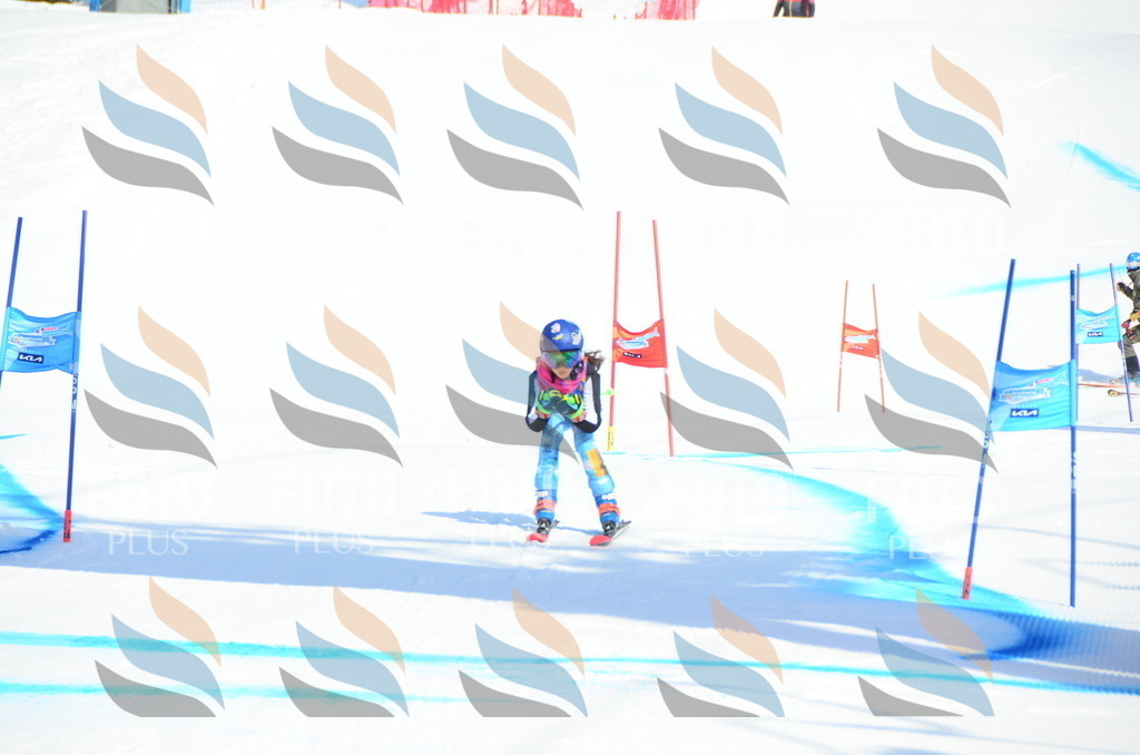 DSC_0378 | holidayphoto